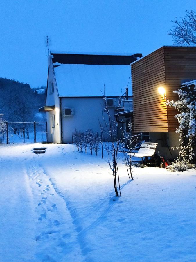 Apartman Lenka II Borsice Bagian luar foto